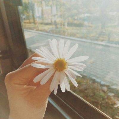 牡丹江房地产信息网